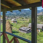 Guest house китиця *