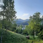 Guest house китиця