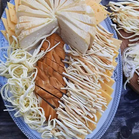 게스트하우스 Kitica House 베르코비나