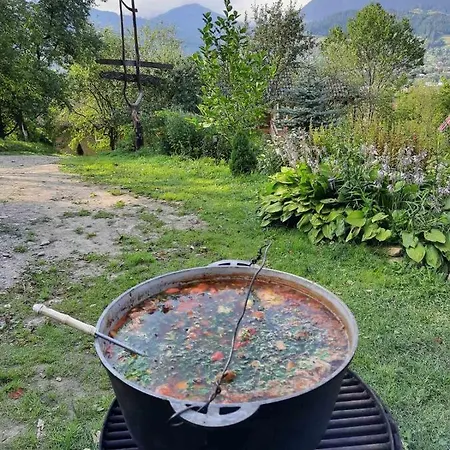 Kitica House 게스트하우스 베르코비나