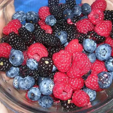 게스트하우스 Kitica House *