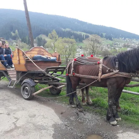 Гостевой дом китиця