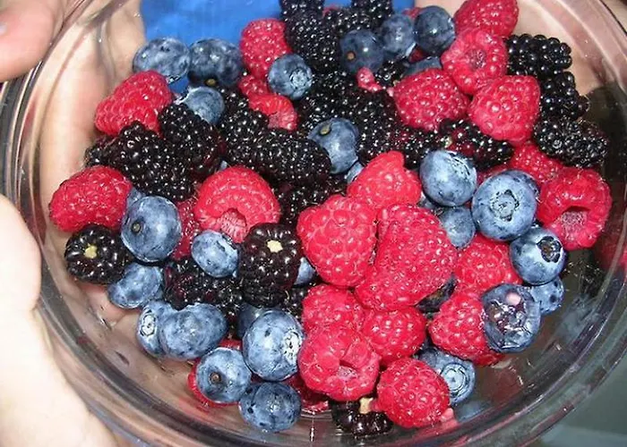 招待所 китиця *