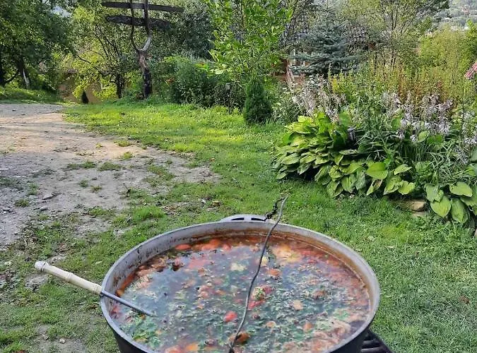 китиця Πανσιόν Verkhovyna