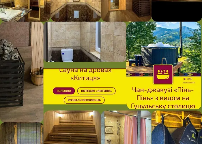 Πανσιόν китиця